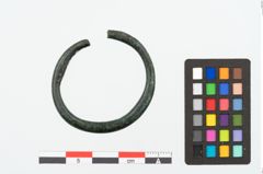 Foto von Bronzering (NHMW-PRAE-025361)